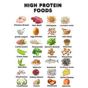 May include: A colorful infographic titled "HIGH PROTEIN FOODS" displays illustrations of various protein-rich foods. The image includes chicken breast, lean beef, chickpeas, pumpkin seeds, Greek yogurt, eggs, peanuts, oats, lamb, mozzarella, spinach, wild rice, green peas, broccoli, cashews, pistachios, spirulina, walnuts, mackerel, sunflower seeds, mushrooms, kidney beans, oysters, Swiss cheese, cauliflower, guava, hazelnuts, and apricots.