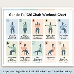 Tai Chi Chair Workout for Seniors, 20 Step Seated Exercise Chart, Tai Chi Poster for Elderly, Senior Fitness Guide, Digital Download PDF image 14