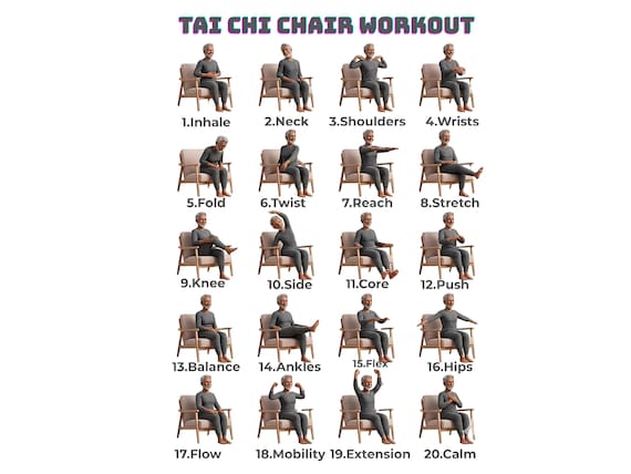 Tai Chi Chair Workout for Seniors, 20 Step Seated Exercise Chart, Tai Chi Poster for Elderly, Senior Fitness Guide, Digital Download PDF