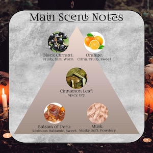 Pu&ograve; includere: Un grafico informativo quadrato intitolato Main Scent Notes con un triangolo centrale. Mostra cinque immagini circolari con etichette: Black Currant (Fruity, Tart, Warm), Orange (Citrus, Fruity, Sweet), Cinnamon Leaf (Spicy, Dry), Balsam of Peru (Resinous, Balsamic, Sweet) e Musk (Musky, Soft, Powdery).