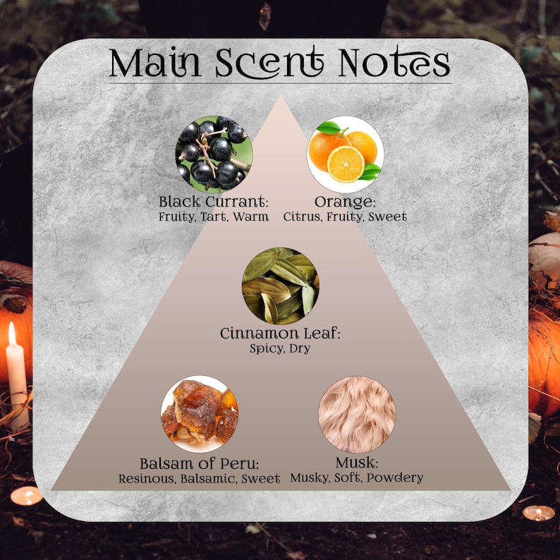 Pu&ograve; includere: Un grafico informativo quadrato intitolato Main Scent Notes con un triangolo centrale. Mostra cinque immagini circolari con etichette: Black Currant (Fruity, Tart, Warm), Orange (Citrus, Fruity, Sweet), Cinnamon Leaf (Spicy, Dry), Balsam of Peru (Resinous, Balsamic, Sweet) e Musk (Musky, Soft, Powdery).