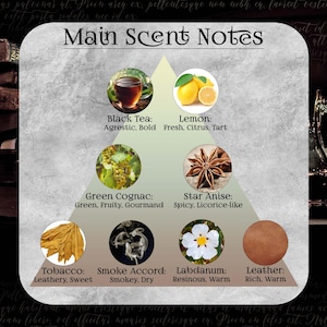 May include: A scent pyramid chart titled Main Scent Notes featuring eight circular images with text labels: Black Tea, Lemon, Green Cognac, Star Anise, Tobacco, Smoke Accord, Labdanum, and Leather, each with descriptive adjectives on a gray background.