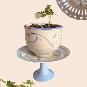 May include: A small potted plant in a cream ceramic pot with blue painted designs. The pot sits on a light blue pedestal with a matching saucer. A second decorative plate is visible.