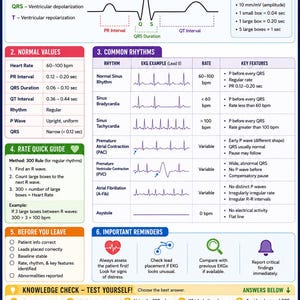 Pode incluir: Uma folha de consulta de EKG para o exame NHA CCMA com seções sobre noções básicas de EKG, valores normais, ritmos comuns, um guia rápido de frequência e um teste de conhecimentos, incluindo diagramas de ritmo cardíaco e tabelas.