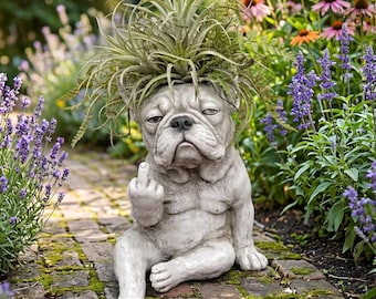 Grumpy French Bulldog Planter,Funny Dog Succulent Pot,Funny Middle Finger Dog,Novelty Planter,Funny Pet Lover Gift,Quirky Succulent Planter
