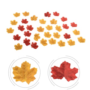 May include: A collection of artificial maple leaves in shades of red and yellow, arranged in a scattered pattern. Two larger, detailed views of a single yellow leaf and a single red leaf are positioned at the bottom, showing veined textures.