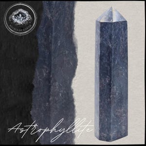 May include: A dark blue Astrophyllite crystal tower with a pointed top. The crystal has a textured surface and is set against a neutral background. The text "Astrophyllite" is written in cursive at the bottom.