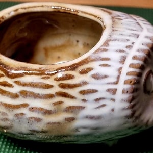 May include: A ceramic hedgehog-shaped planter with a brown and white glaze. The planter has a large opening and a detailed textured design, with a small pointed snout. The hedgehog is resting on a green surface.