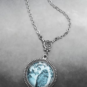 May include: A silver chain necklace with a round pendant featuring a blue and white image of an owl perched on a branch. The pendant has a silver beaded border.