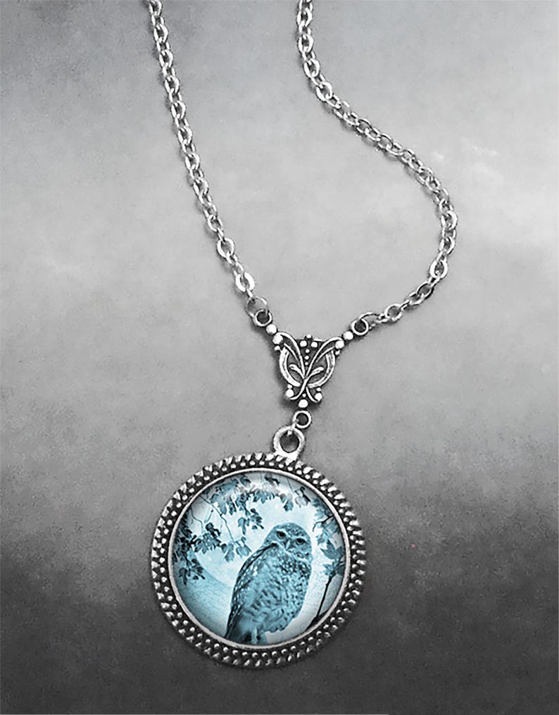 May include: A silver chain necklace with a round pendant featuring a blue and white image of an owl perched on a branch. The pendant has a silver beaded border.