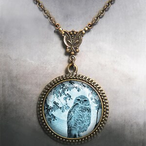 May include: A silver chain necklace with a bronze pendant featuring a blue and white owl image in a round glass frame.