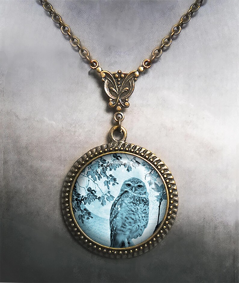 May include: A silver chain necklace with a bronze pendant featuring a blue and white owl image in a round glass frame.
