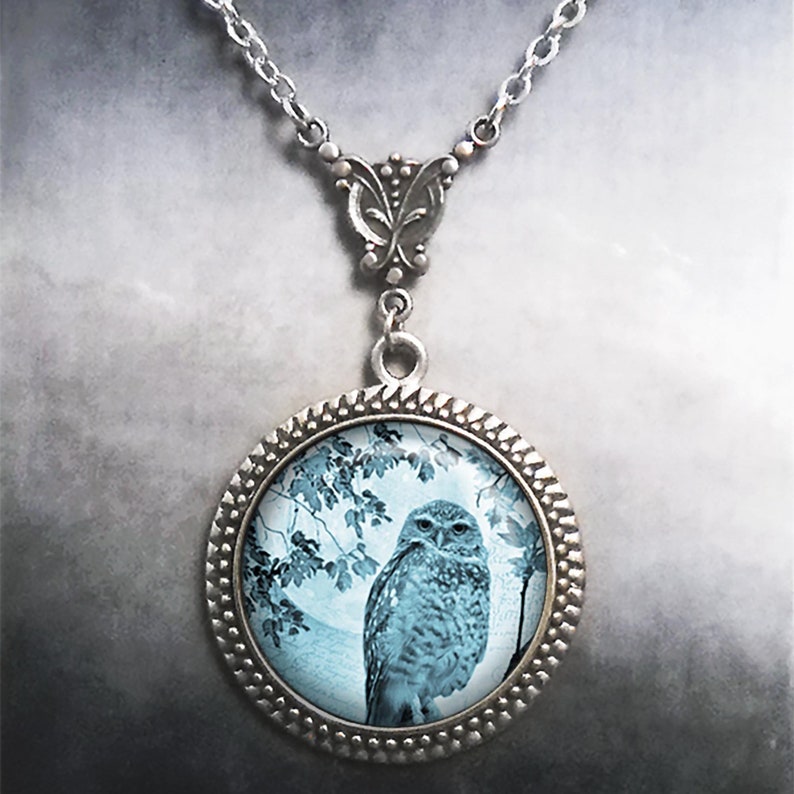 May include: A silver necklace with a round pendant featuring a blue and white image of an owl perched on a branch. The pendant has a decorative silver border.