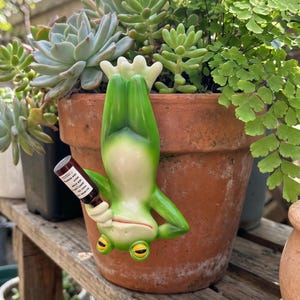 May include: A green frog figurine hanging upside down on the rim of a terracotta plant pot. The frog has yellow eyes and is holding a small brown bottle with a white label. The pot contains various green succulents and a fern plant.