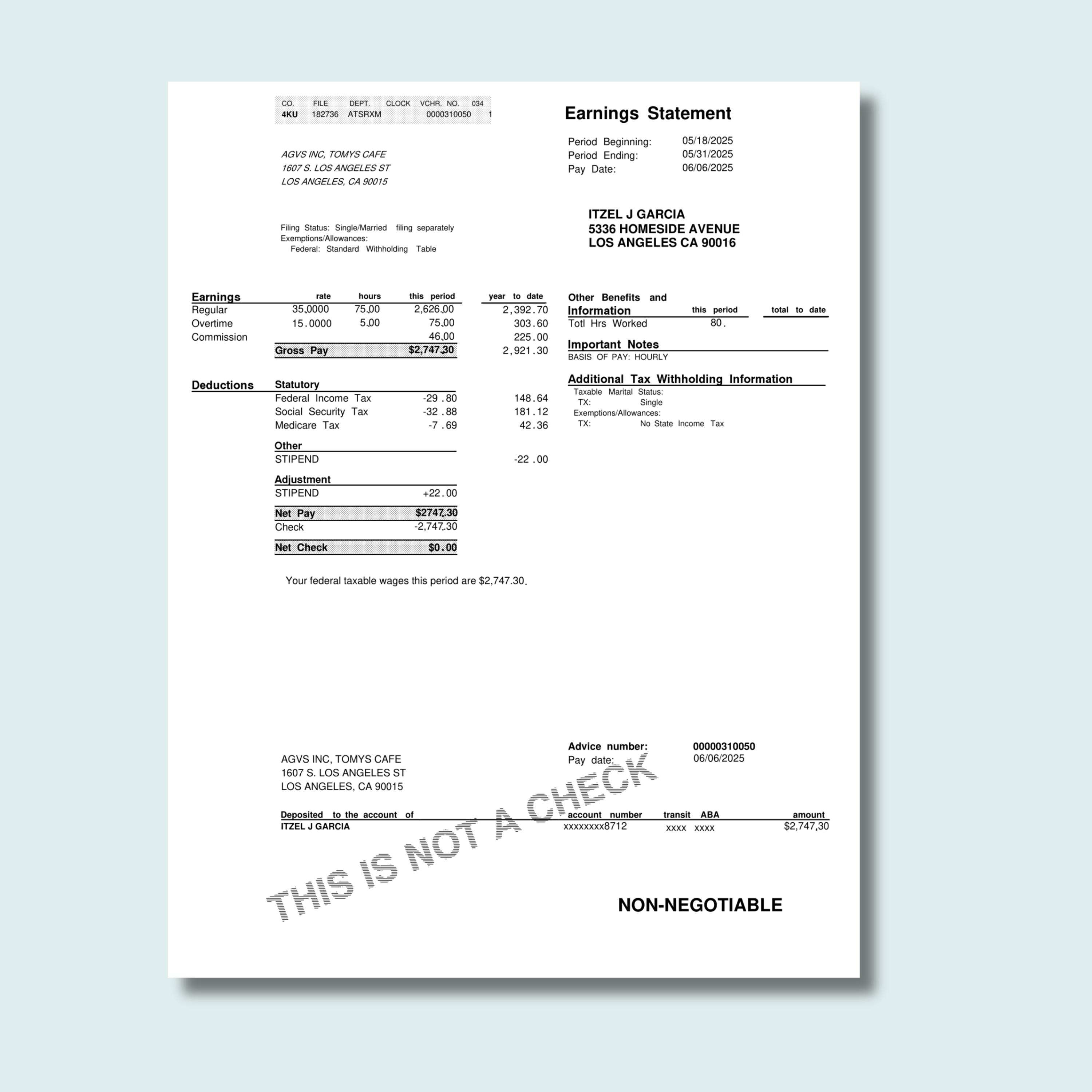 Professional Pay Stub Example Editable Pay Stub Template | Professional Check Stub | Canva Pay Stub ...