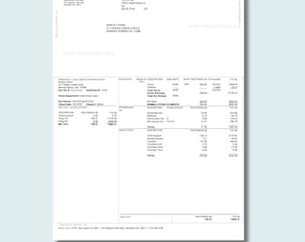 Plantilla de recibo de nómina para empleados / Recibo de cheque profesional / Plantilla de recibo de pago / Recibo de pago de nómina para empleados / Plantilla de estado de ganancias en PDF