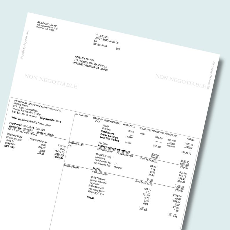 Employee Pay Stub Template | Professional Check Stub | Pay Stub ...