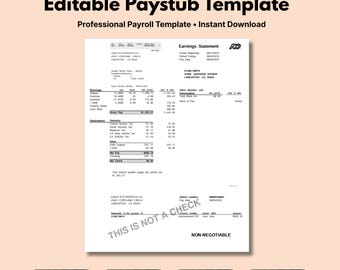 Editable Employee Paystub, Editable Paystub Template, Paycheck Stub, Employee Payroll, Earnings Statement, Professional Check Stub PDF