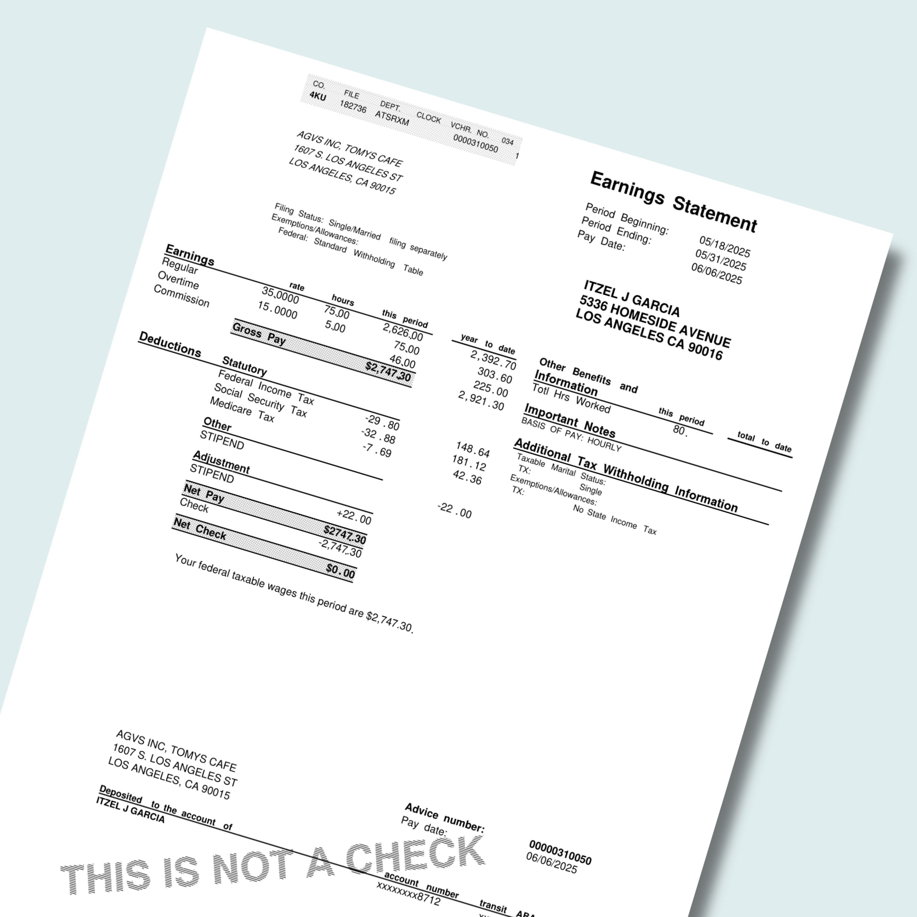 Professional Pay Stub Example Editable Pay Stub Template | Professional Check Stub | Canva Pay Stub ...