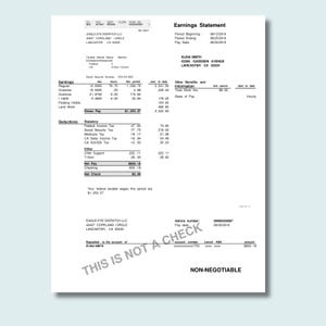 May include: A white earnings statement from Eagle Eye Dispatch LLC, with the text "Earnings Statement" at the top. The document includes details like pay date, earnings, deductions, and net pay. The bottom reads "THIS IS NOT A CHECK".