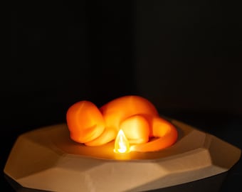 Charmander with a light-like tail