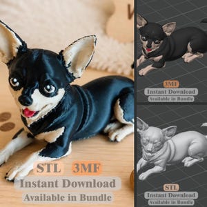 Chihuahua STL 3MF / Modello di cane realistico / Statuetta di cucciolo stampabile / File per stampa 3D / Download immediato