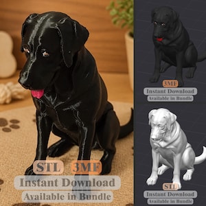 Labrador Retriever STL 3MF | Realistisch hondenmodel | Labrador-miniatuur | 3D-afdrukbestand | Direct downloaden