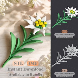 Edelweiss Flower STL 3MF | Alpine Floral Decor | 3D Print File | Instant Download