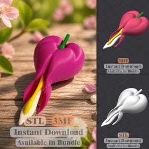 Flor de corazón sangrante STL 3MF / Decoración de jardín de primavera / Archivo de impresión 3D / Descarga instantánea