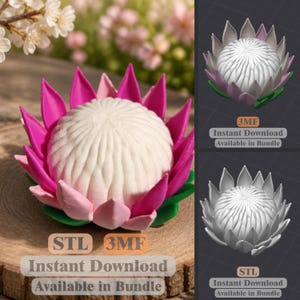 Protea Blossom STL 3MF | Botanical Decor | 3D Print File | Instant Download