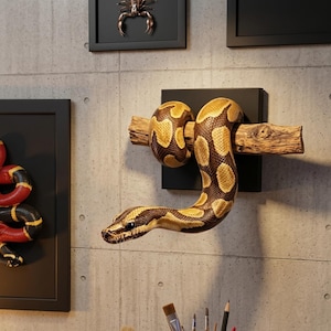 May include: A wall-mounted sculpture featuring a realistic ball python with brown and tan patterned scales coiled around a textured wooden branch, which is attached to a square black base mounted on a gray concrete-textured wall surface.