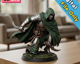 Shadowblade Rogue STL | Phantom Warrior-miniatuur met capuchon | Stealth-personage Dark Fantasy | Tafelmodel display | 3D-afdrukbestand