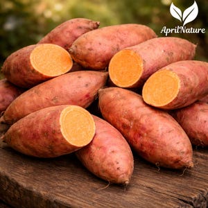 May include: A pile of sweet potatoes, some whole and some cut in half, revealing bright orange flesh. The sweet potatoes have reddish-brown skin and are arranged on a rustic wooden surface. The image has a natural, earthy feel.