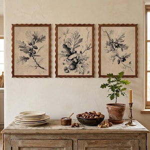 May include: Three rectangular wall art prints with scalloped wooden frames featuring black and white botanical illustrations of oak branches, acorns, and mushrooms on a textured beige background, displayed above a wooden sideboard with dishware.