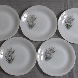 5 vintage Arcopal dessert plates, white daffodil design, opaline glass, 19 cm, 1970s-80s, France