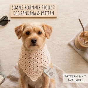 May include: A small dog wearing a cream-coloured crocheted dog bandana. The image includes sunglasses, a drink, and the text "SIMPLE BEGINNER PROJECT: DOG BANDANA & PATTERN". A tag on the bandana reads "DEZVO".