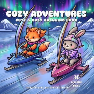 May include: A coloring book titled COZY ADVENTURES CUTE & COZY COLORING BOOK featuring an illustration of a fox and a rabbit ice sailing on a frozen landscape under a vibrant aurora borealis. The cover includes the text 30 COLORING PAGES and HAPPYSTROKES BY ARYACREATIVES.