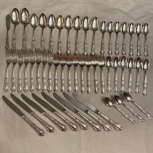 May include: A large collection of silver-toned flatware featuring ornate floral detailing on the handles. The set includes various sizes of spoons, forks, and knives, all displaying a consistent decorative pattern on the stems and bases.