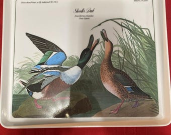 JJ AUDUBON Nature Print Shoveller Duck18x12 Melanine Serving TRAY Italy Vintage