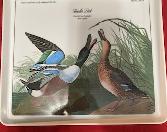 JJ AUDUBON Nature Print Shoveller Duck18x12 Melanine Serving TRAY Italy Vintage