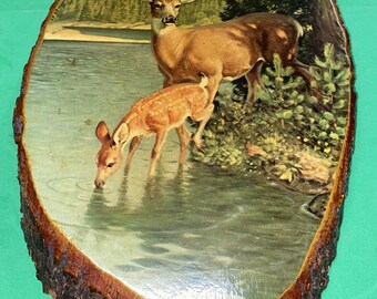 Vintage Tree Slice-Art Doe and Fawn - Wall Hanging 9” X 15” Rustic Decor(B6)