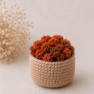 Crochet Rust Moss Pot, Handmade Autumn Botanical Decor, Knitted Cozy Plant Accent, Cute Desk Ornament