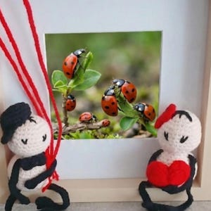 Könnte beinhalten: Ein gerahmtes Bild mit Marienkäfern auf grünen Blättern. Zwei gehäkelte Figuren, eine mit roten Herzballons, die andere mit einem roten Herzen, sitzen vor dem Rahmen. Die Figuren sind weiß mit schwarzen Akzenten.