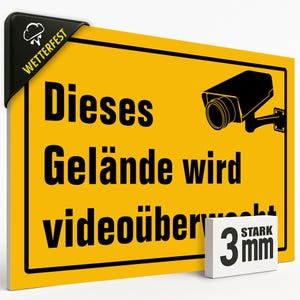 Sign: Premises under video surveillance, 20 x 30 cm, VIDEO camera SURVEILLANCE, Private, PVC #124