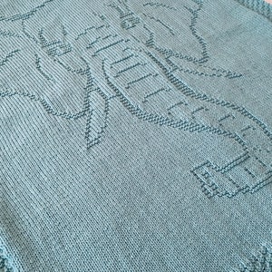 Pode incluir: Um cobertor de beb&eacute; de malha azul claro com um design de elefante.