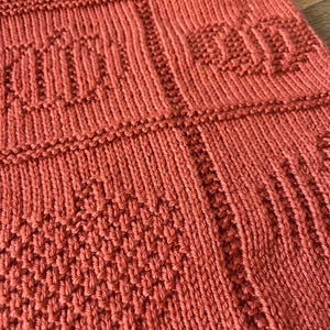 May include: A burnt orange knitted textile featuring a repeating grid pattern. Each square section displays a textured pumpkin motif created with knit and purl stitches. The fabric has a consistent terracotta hue and a structured, tactile surface.