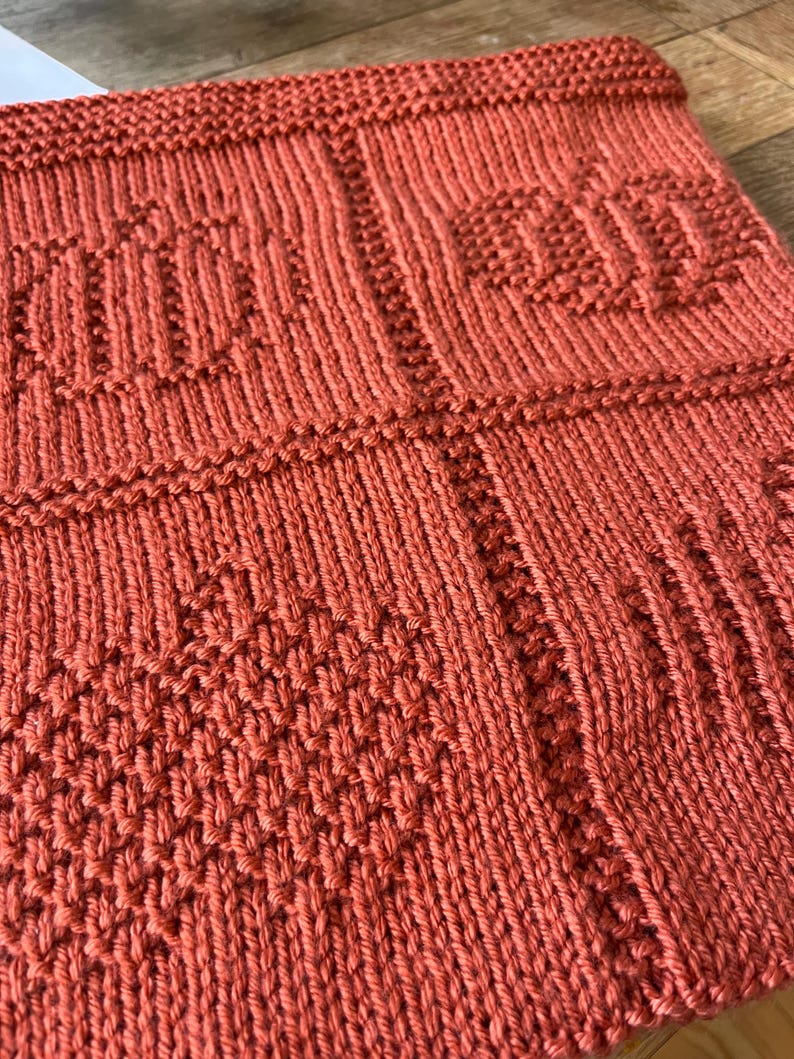 May include: A burnt orange knitted textile featuring a repeating grid pattern. Each square section displays a textured pumpkin motif created with knit and purl stitches. The fabric has a consistent terracotta hue and a structured, tactile surface.