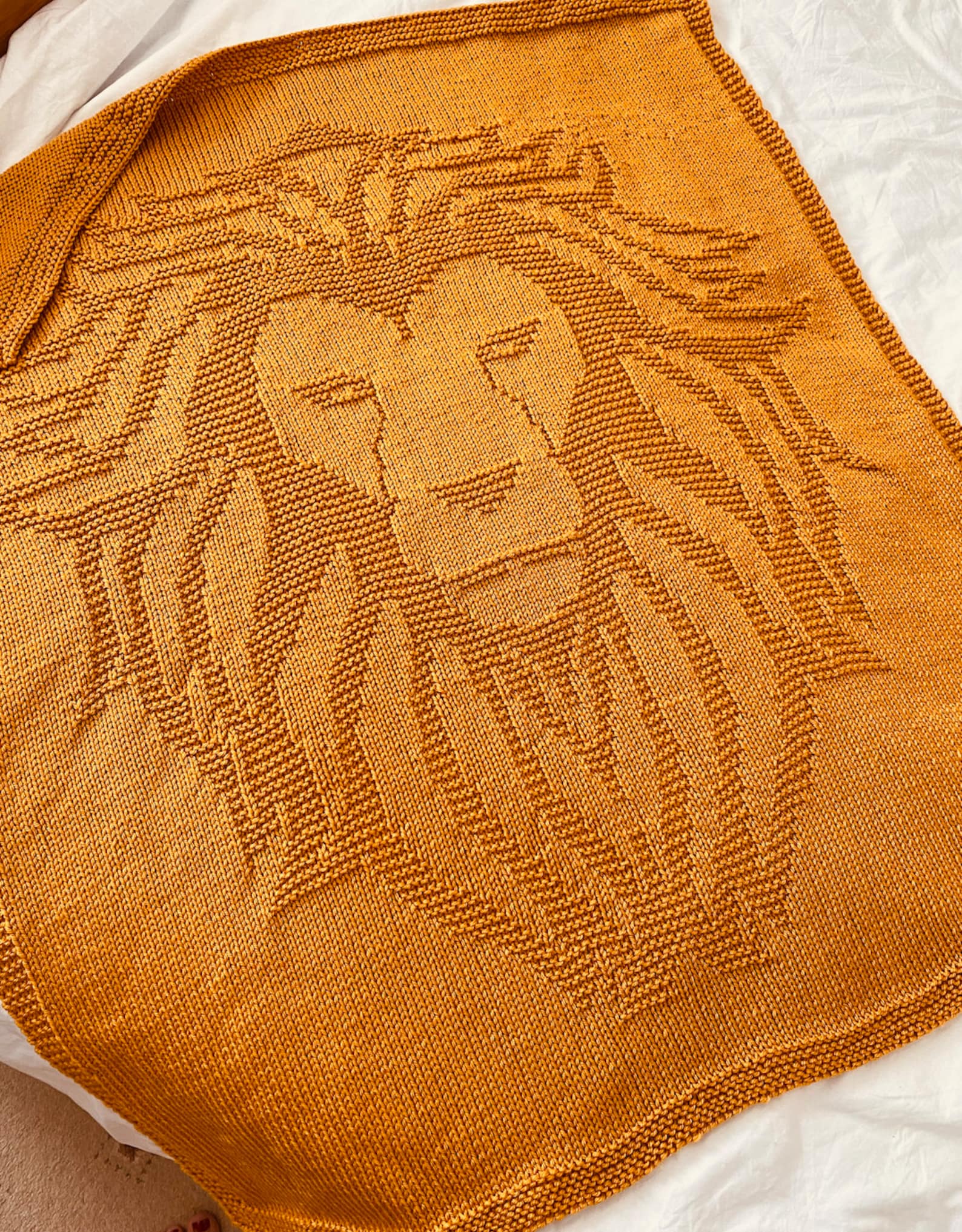 Knitting Pattern Lion Blanket PDF Instant Download Throw Etsy