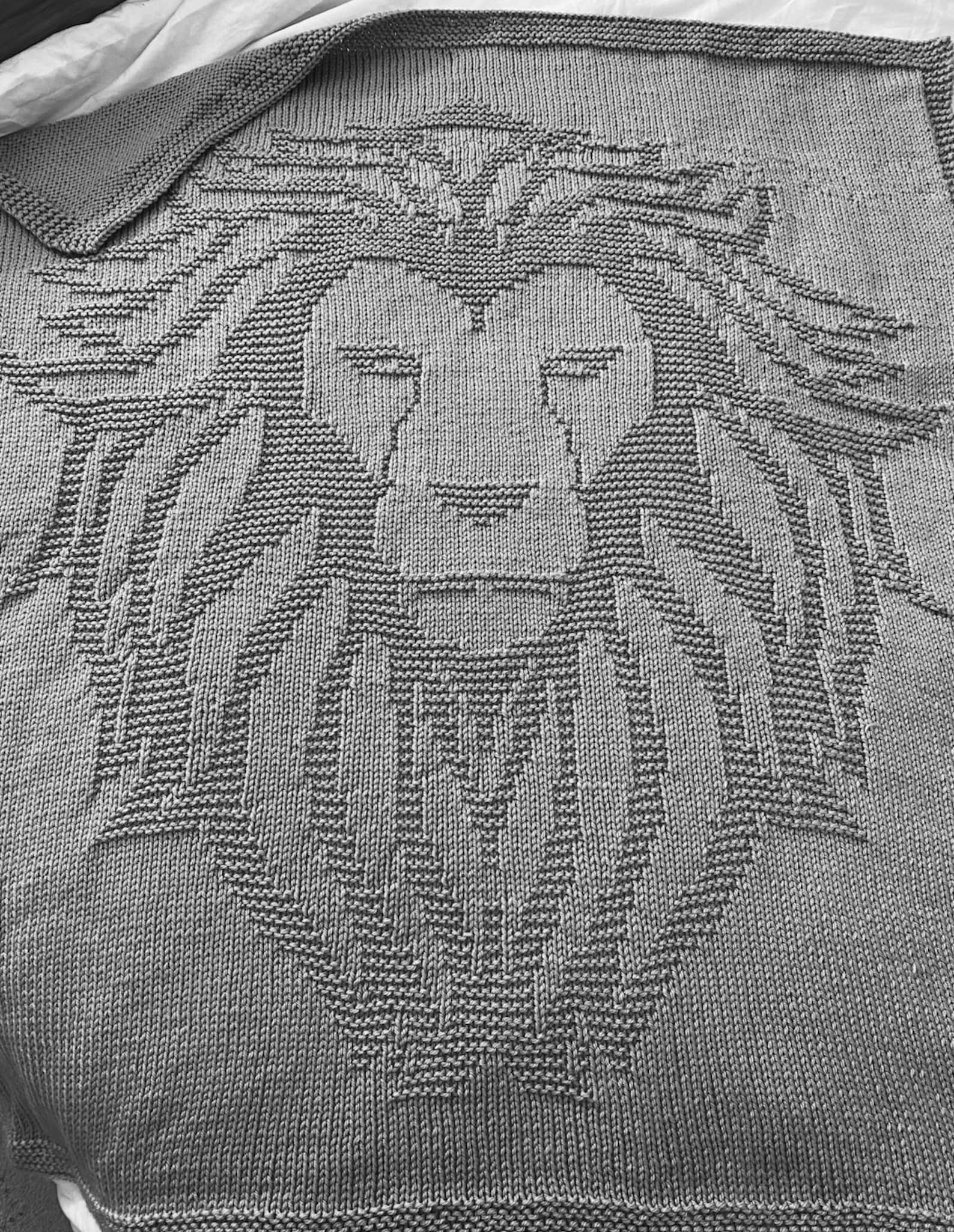 Knitting Pattern Lion Blanket PDF Instant Download Throw Etsy