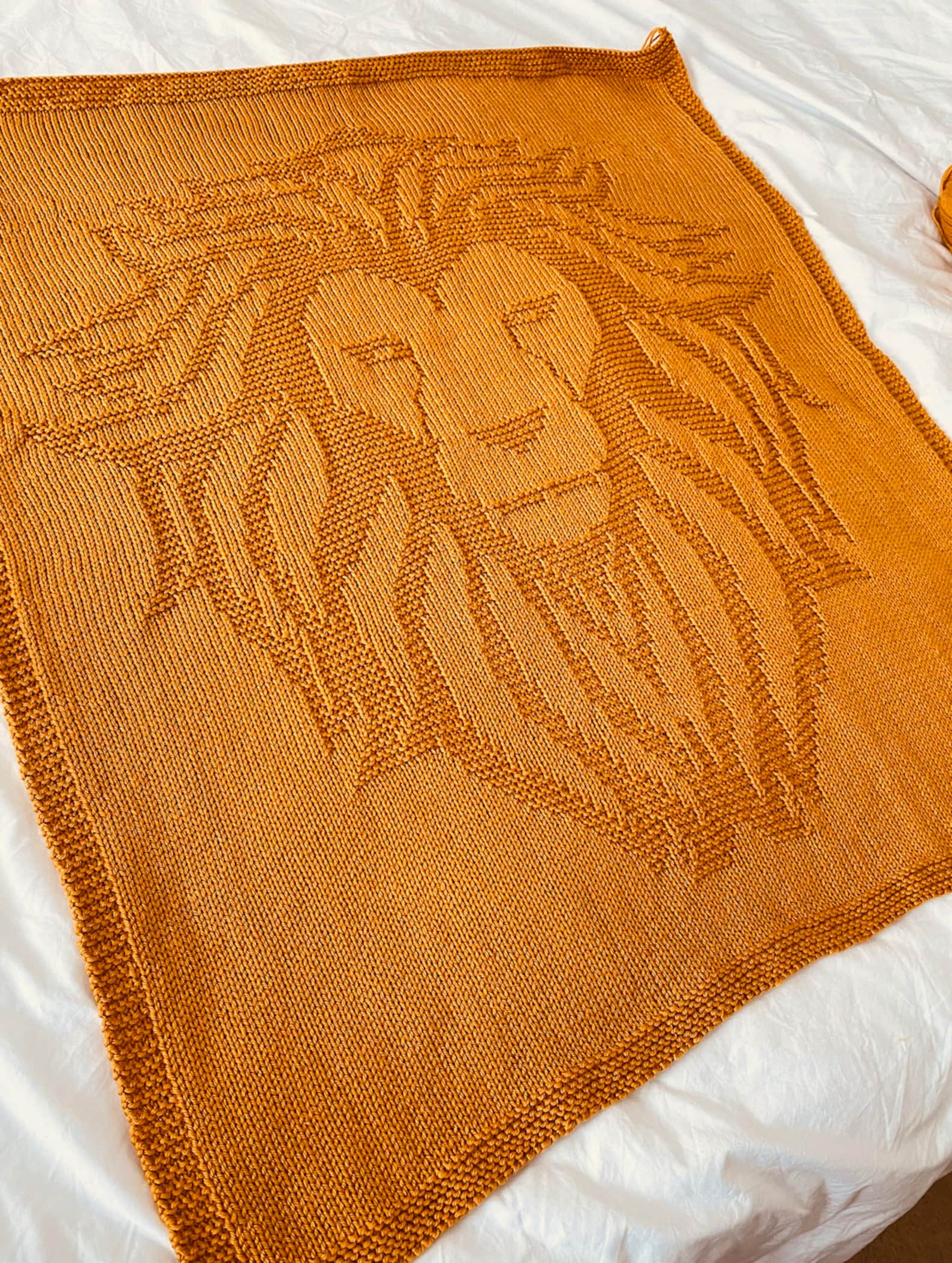 Knitting Pattern Lion Blanket PDF Instant Download Throw Etsy